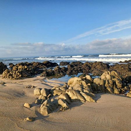 Alojamento Varandas Do Parque Com Internet Póvoa de Varzim Exterior foto